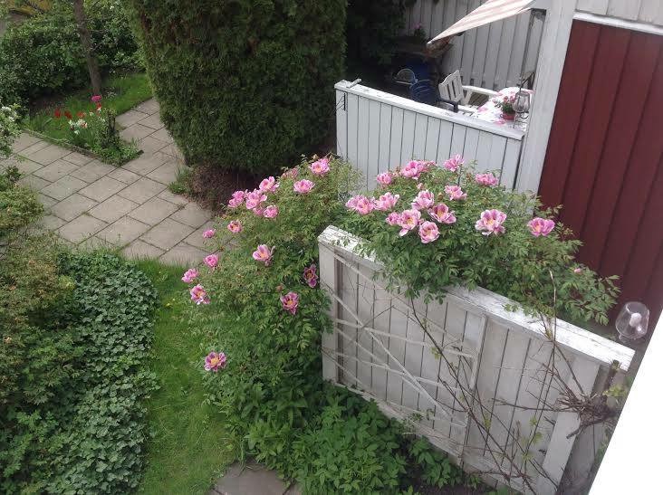 Nätverkspodden | Nätverkande, PR & marknadsföring