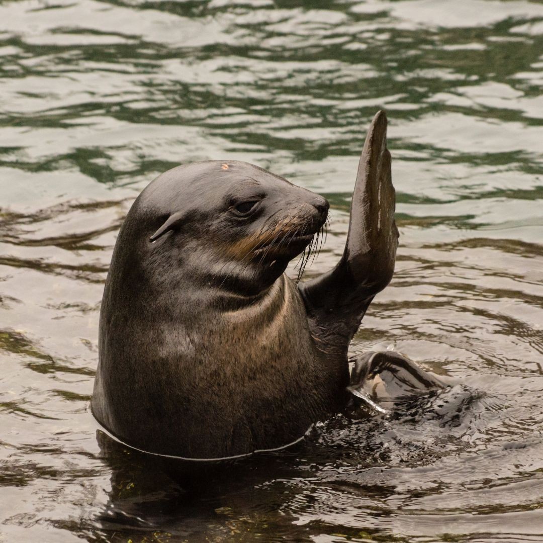 Introduction and Inception | Sujal Patel