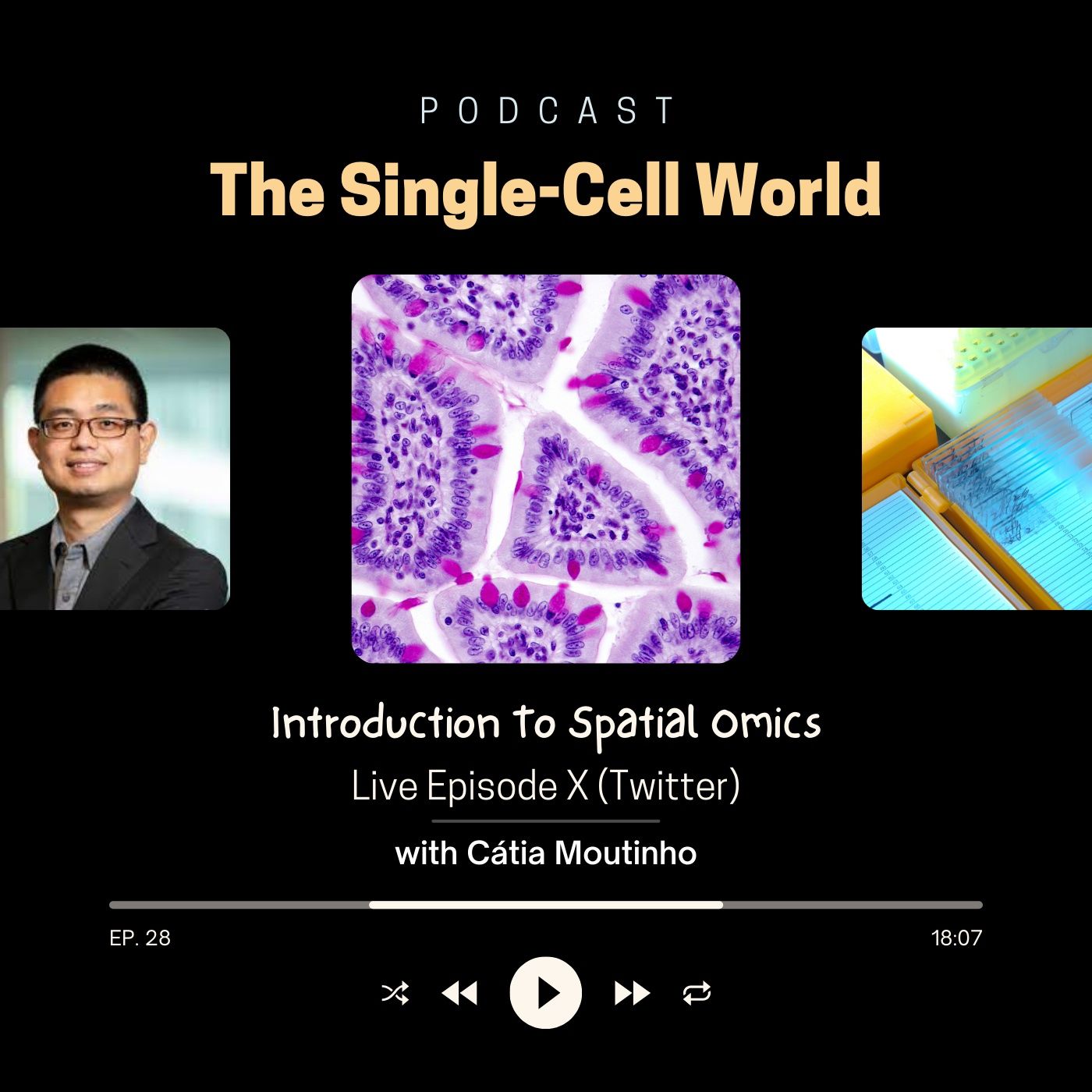 EP. 28: Introduction To Spatial Omics EP. 28: Introduction To Spatial Omics