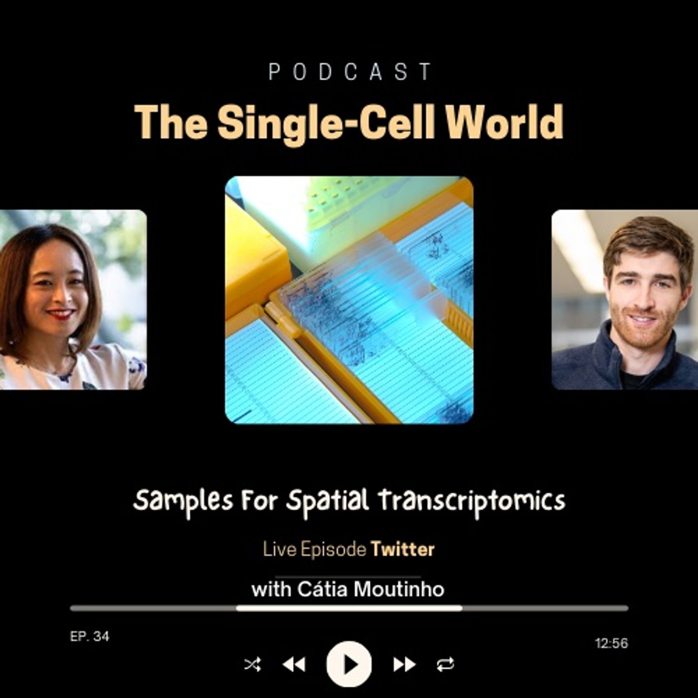 Ep. 34: Samples For Spatial Transcriptomics Ep. 34: Samples For Spatial Transcriptomics