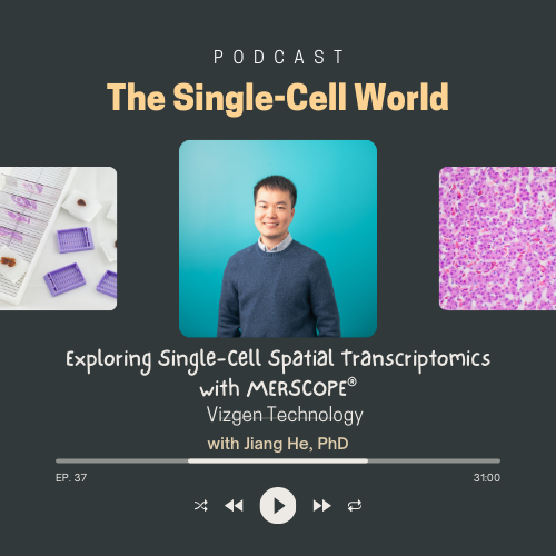 Ep.37: Exploring Single-Cell Spatial Transcriptomics with MERSCOPE®, Vizgen Technology Ep.37: Exploring Single-Cell Spatial Transcriptomics with MERSCOPE®, Vizgen Technology