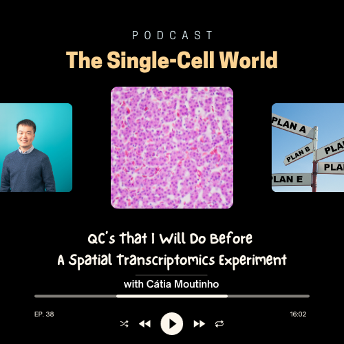Ep 38: QC’s that I Will Do Before A Spatial Transcriptomics Experiment Ep 38: QC’s that I Will Do Before A Spatial Transcriptomics Experiment