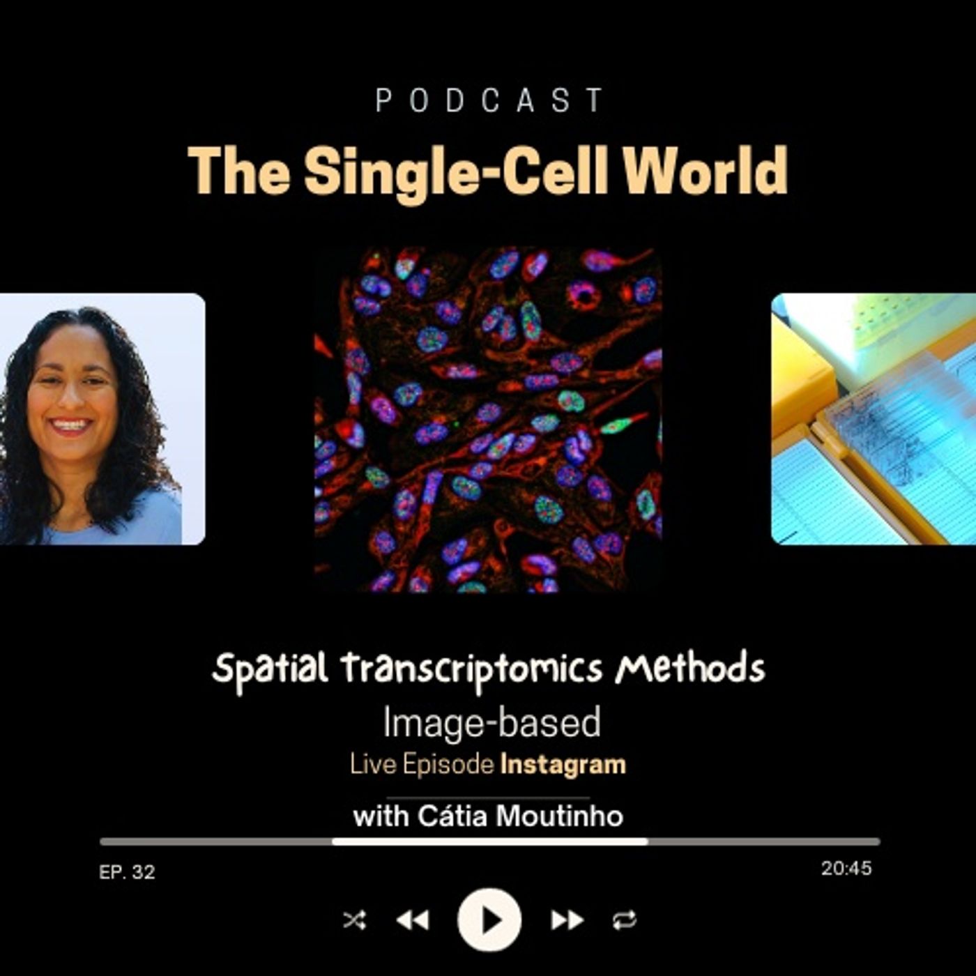 Ep 32. Spatial Transcriptomics: Image-based methods (Live Instagram) Ep 32. Spatial Transcriptomics: Image-based methods (Live Instagram)