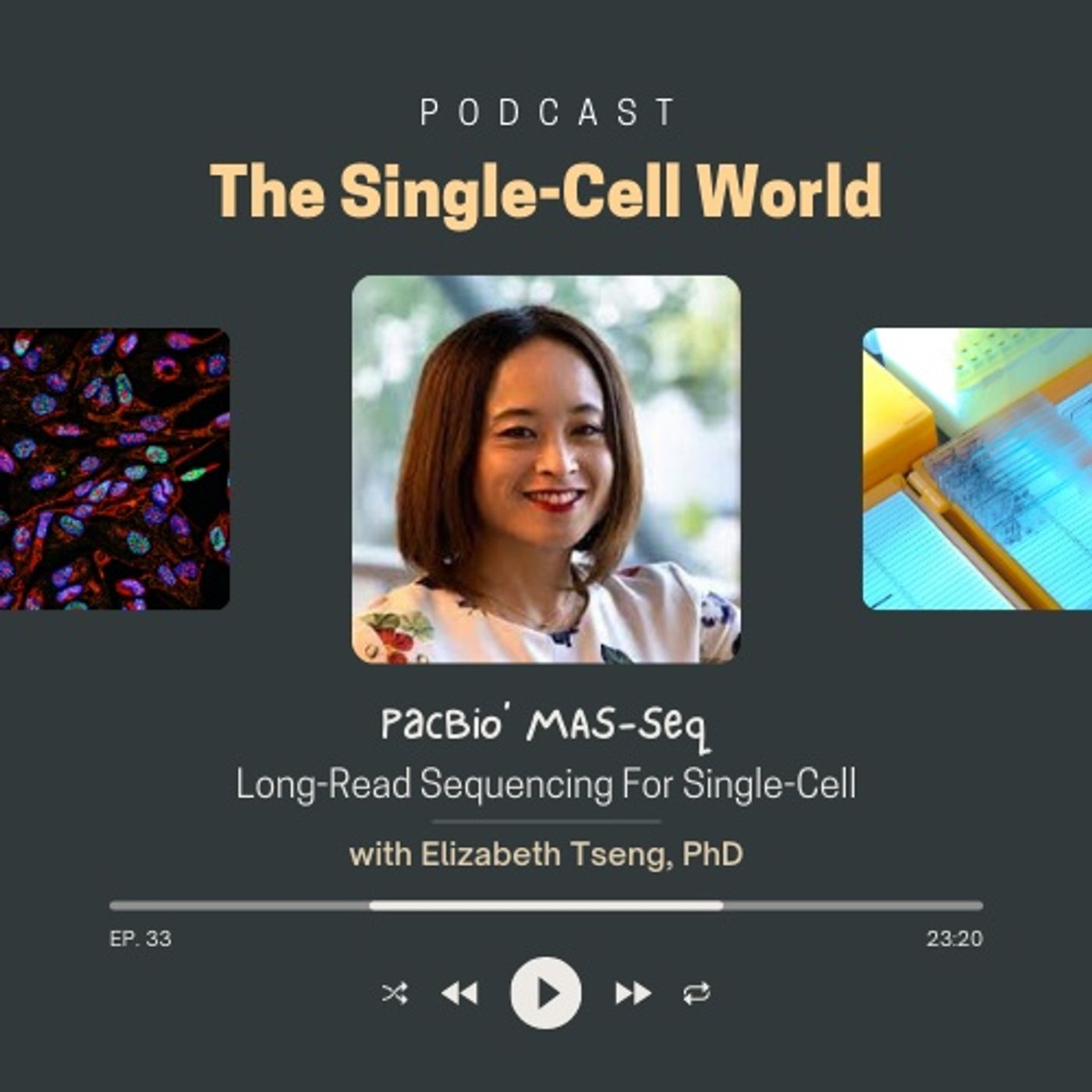 Ep. 33: PacBio’ MAS-Seq: Long-Read Sequencing For Single-Cell Ep. 33: PacBio’ MAS-Seq: Long-Read Sequencing For Single-Cell