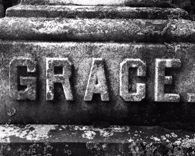 #245 Reckless Sowing #245 Reckless Sowing