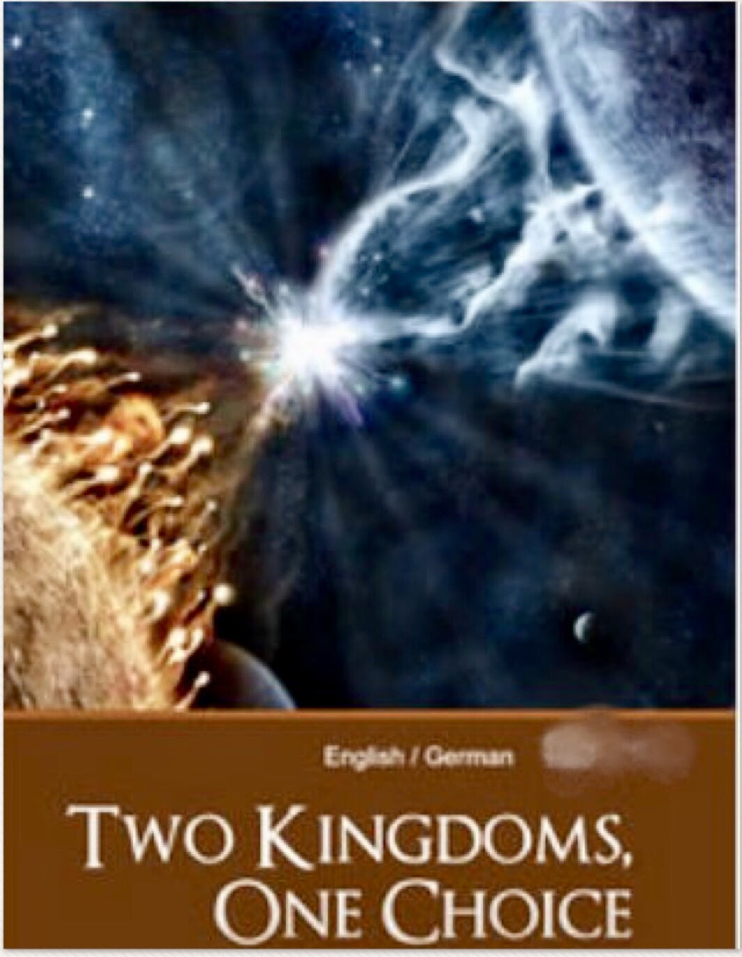 Two Kingdoms One Choice by Ana Mendez Ferrell *(German)