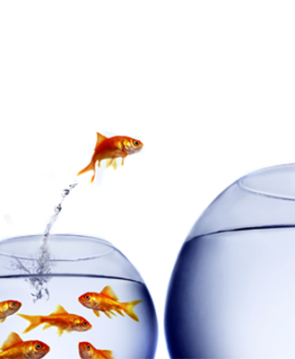 Setting yourself up for success: CRH Early Adopters