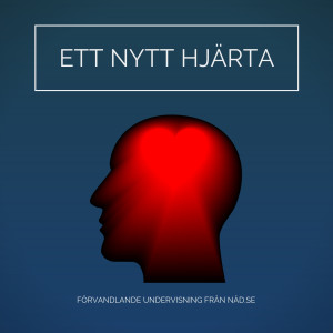 Ett nytt hjärta!