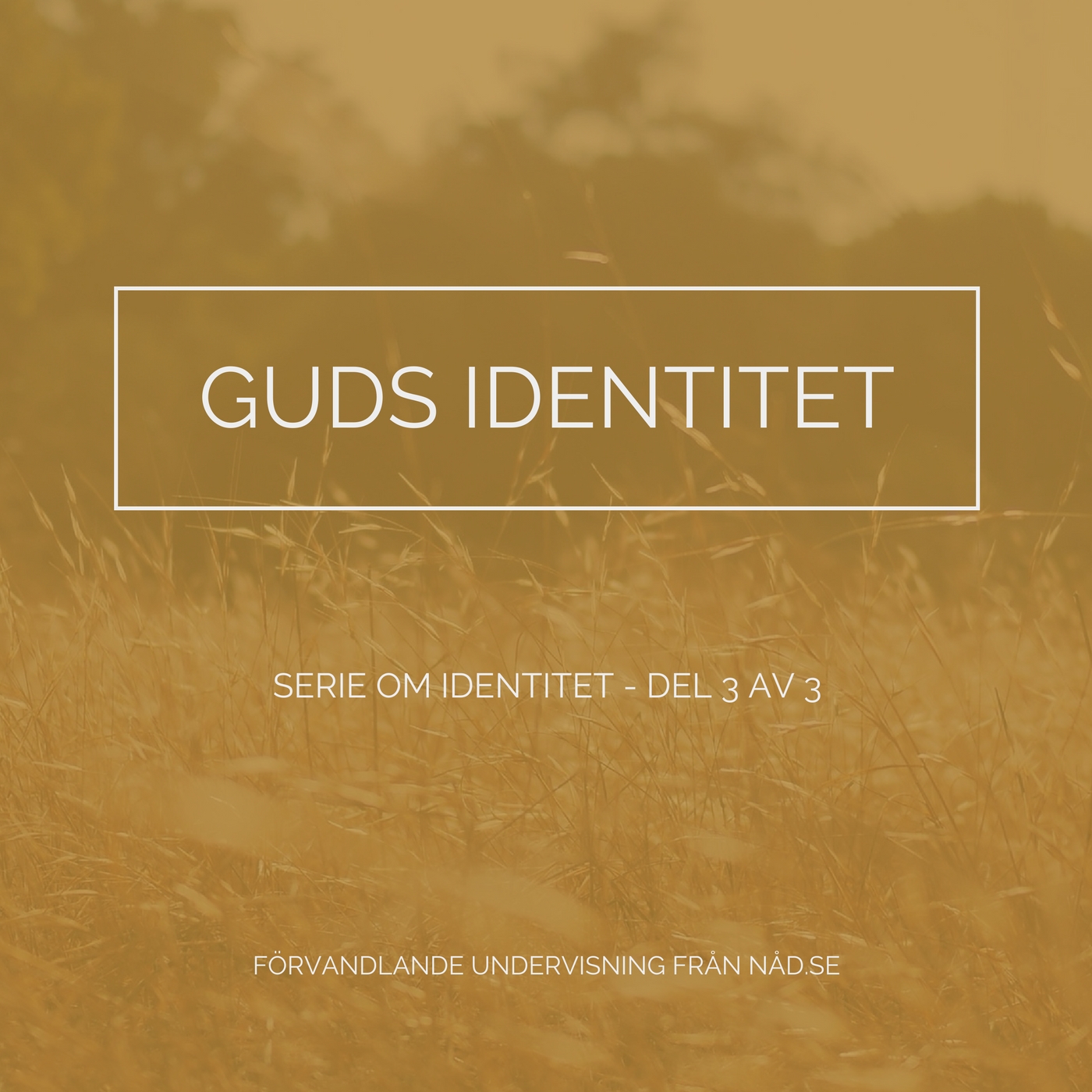 Guds identitet (Identitet Del3)