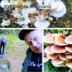 90 - Bakfylla och svamp