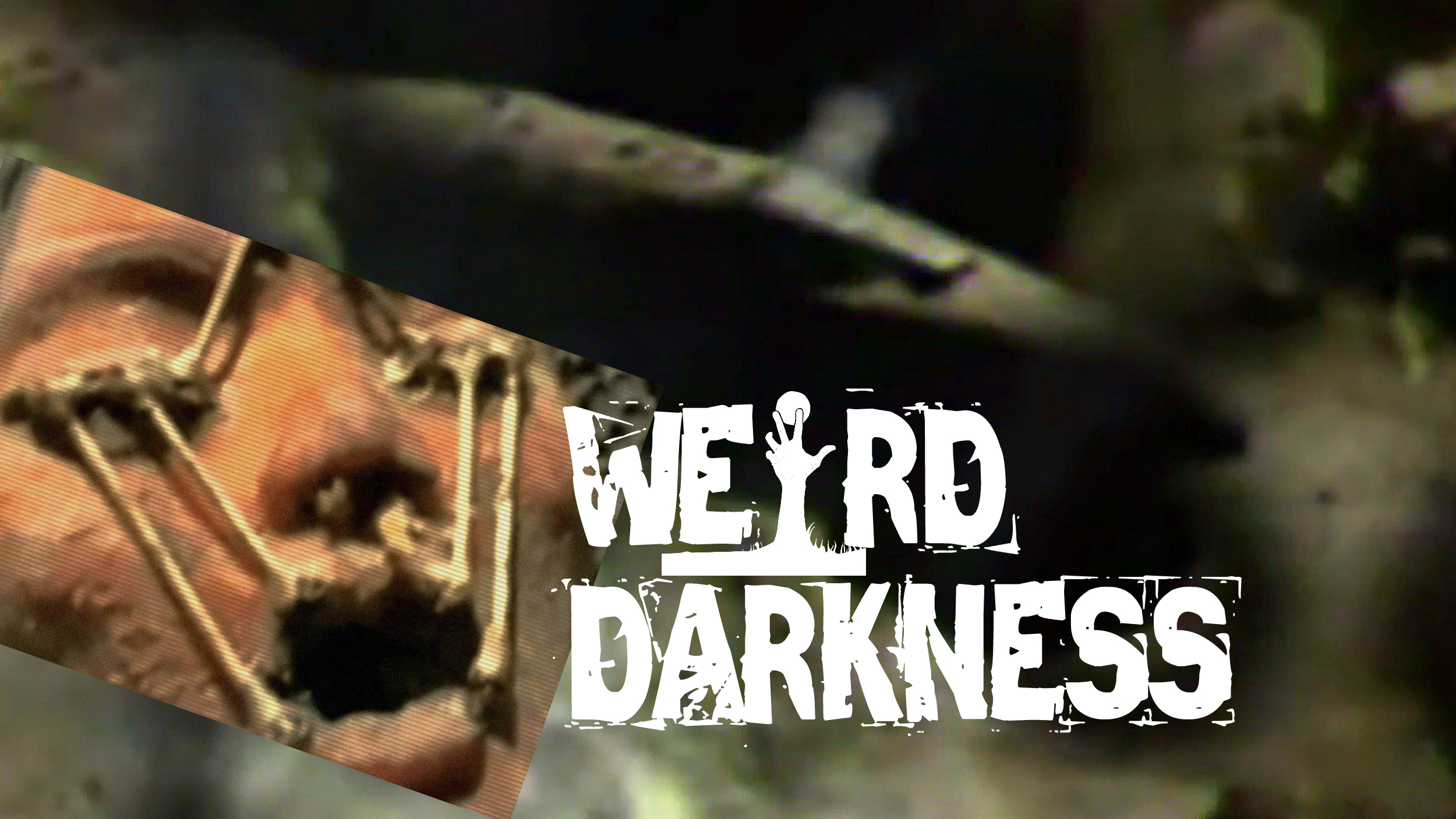 5 horror stories with animal killers 5 horror stories with animal killers