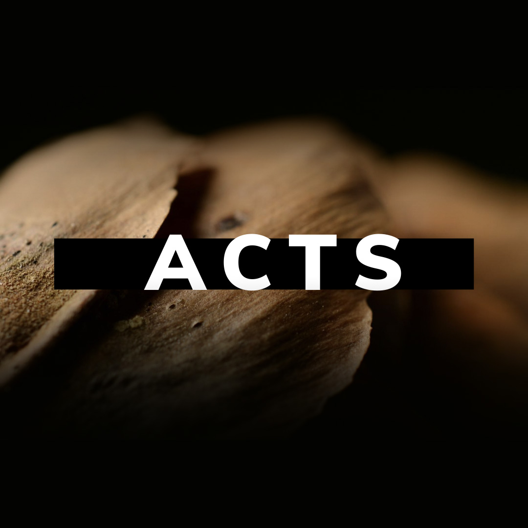 A Study on the Book of Acts - Part XVII