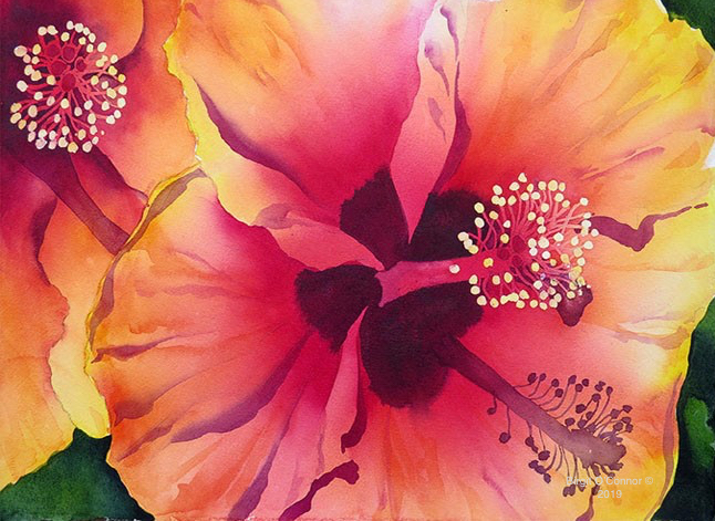 Birgit O\'Connor and The World of Watercolor Painting