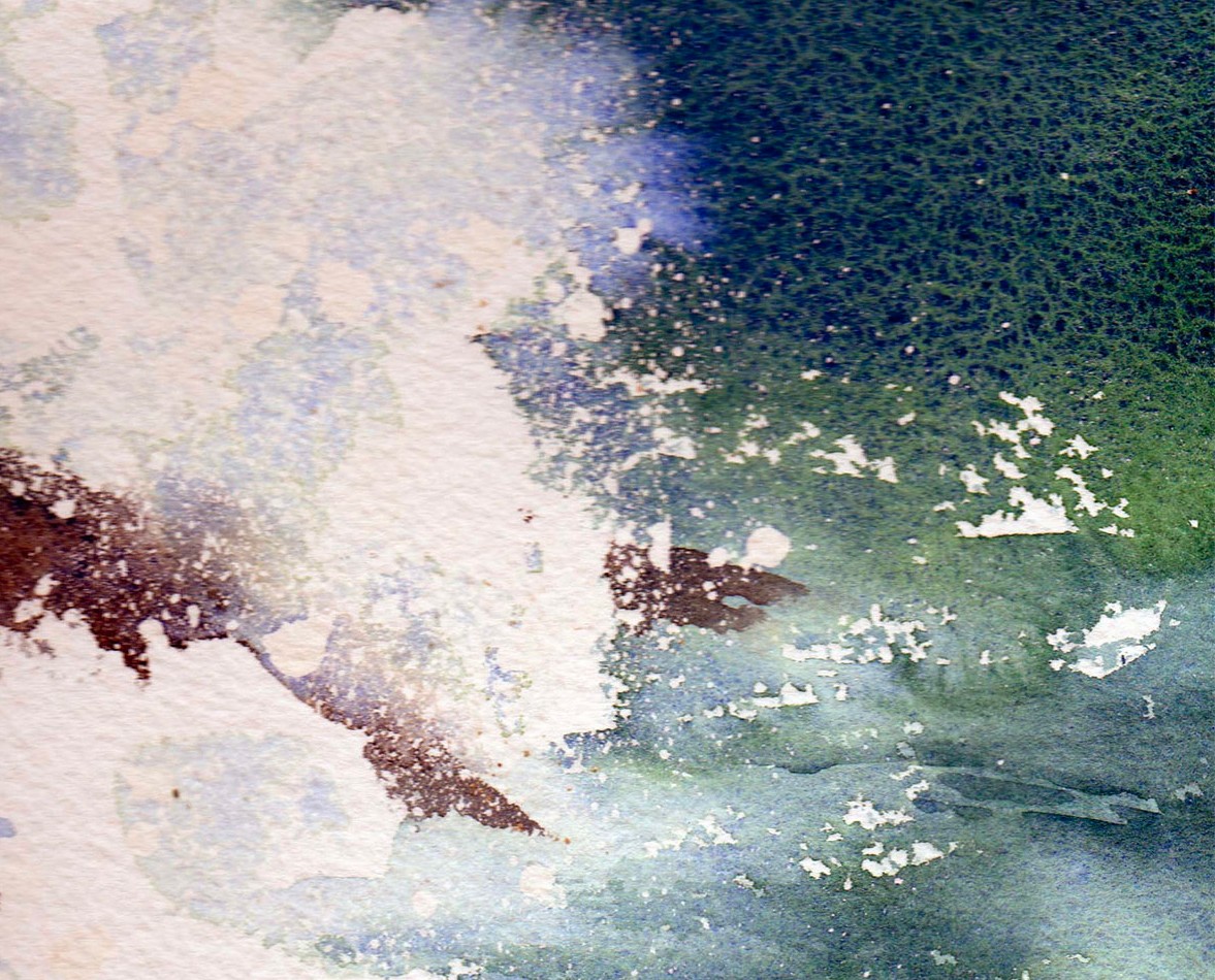 Birgit O\'Connor and The World of Watercolor Painting