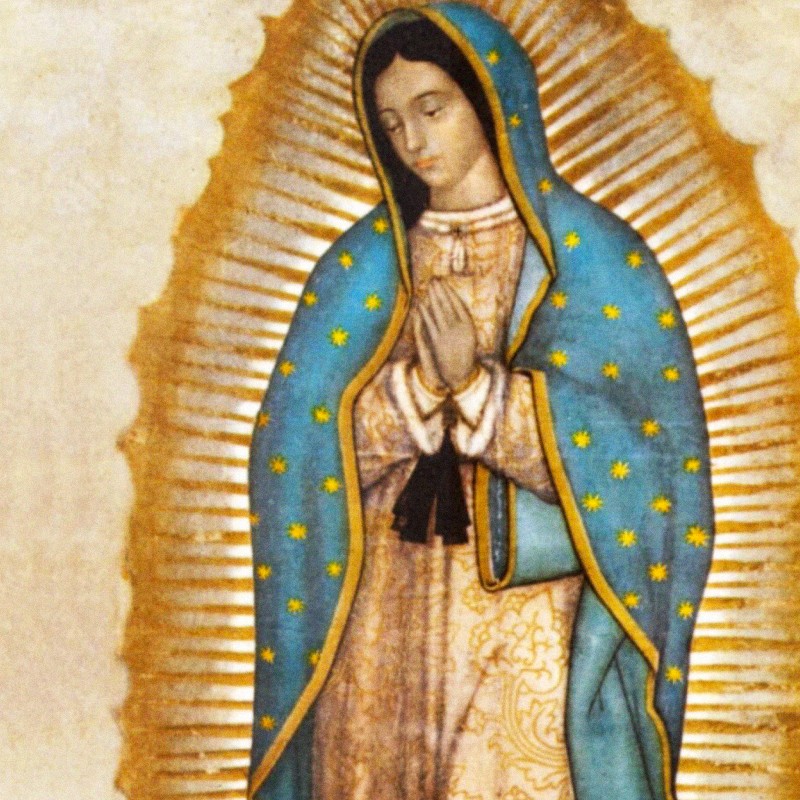 Nuestra Música En La Red