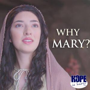 Why Mary?