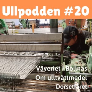 #20/2021 Väveriet i Bollnäs, Dorsetfåret och ulltvättmedel