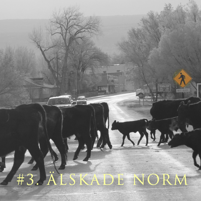 Älskade norm