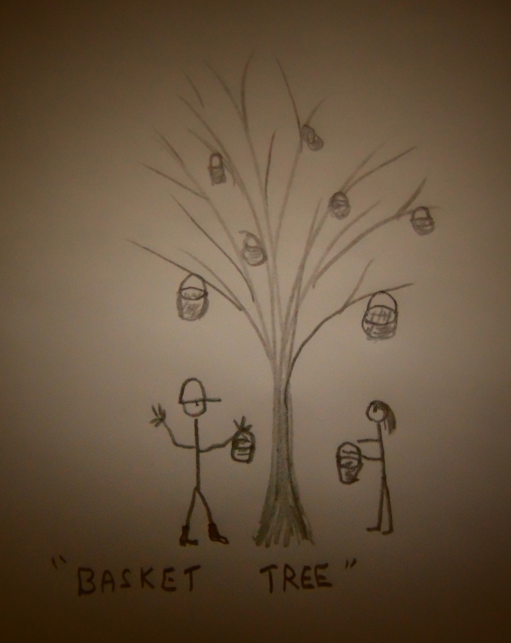 Trails, Tales, and Spruce Tea