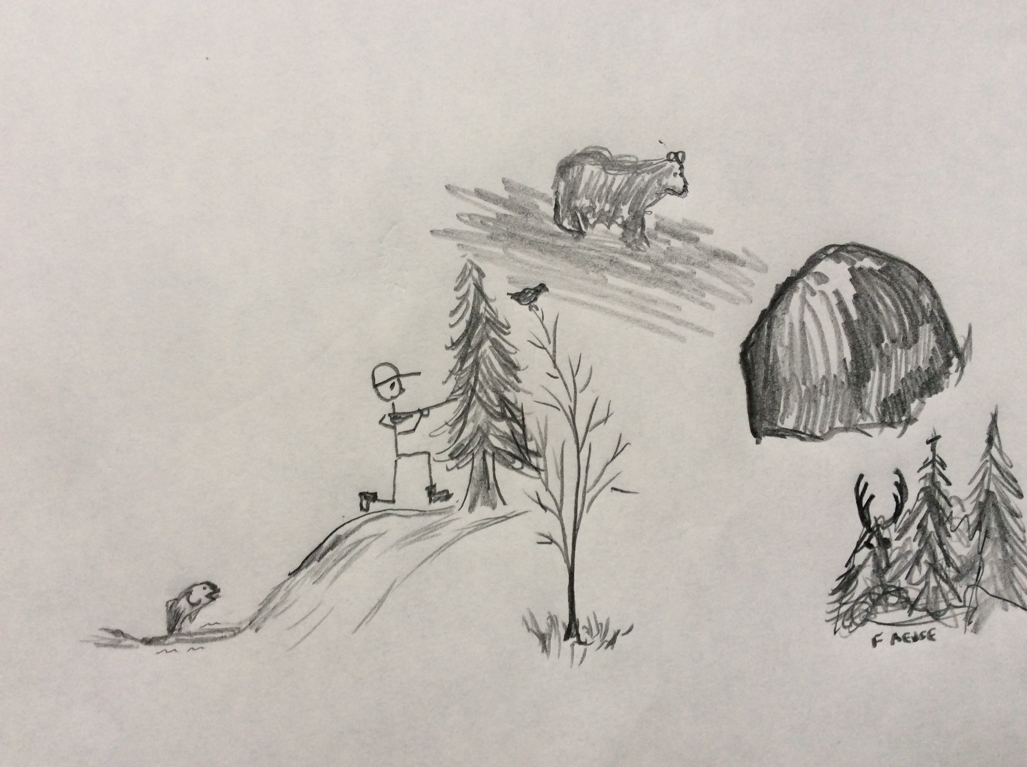Trails, Tales, and Spruce Tea