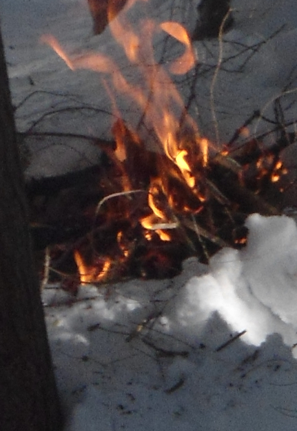 Trails, Tales, and Spruce Tea