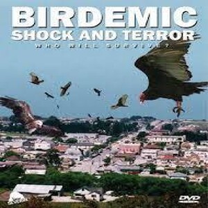 Birdemic : Shock and Terror