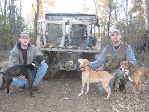 Brian Looney: Tree Dogs and 20/20 Kennels