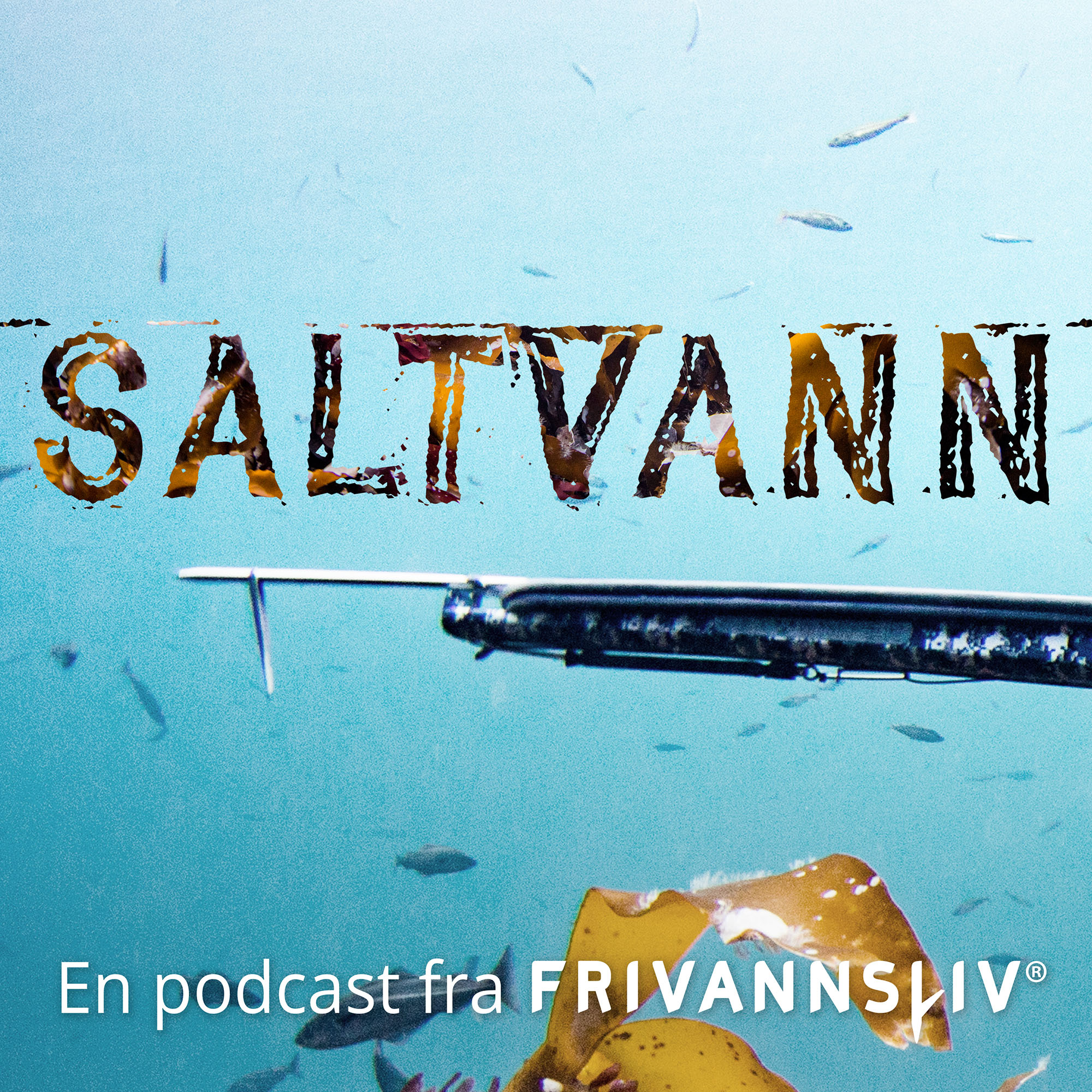 Nattdykking med Marcus Veland Hansen