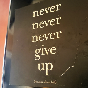 Never, never, NEVER give up!