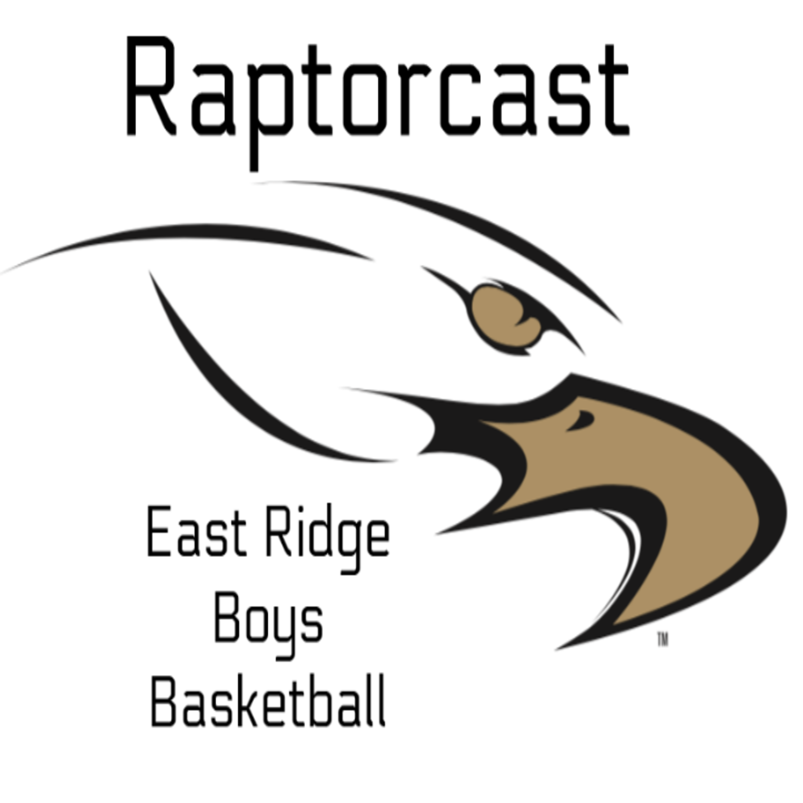 Raptorcast Ep. 12 Summer Season Begins
