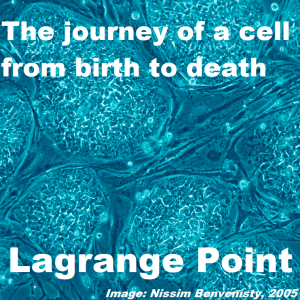 Episode 330 - A cells journey, from birth to death