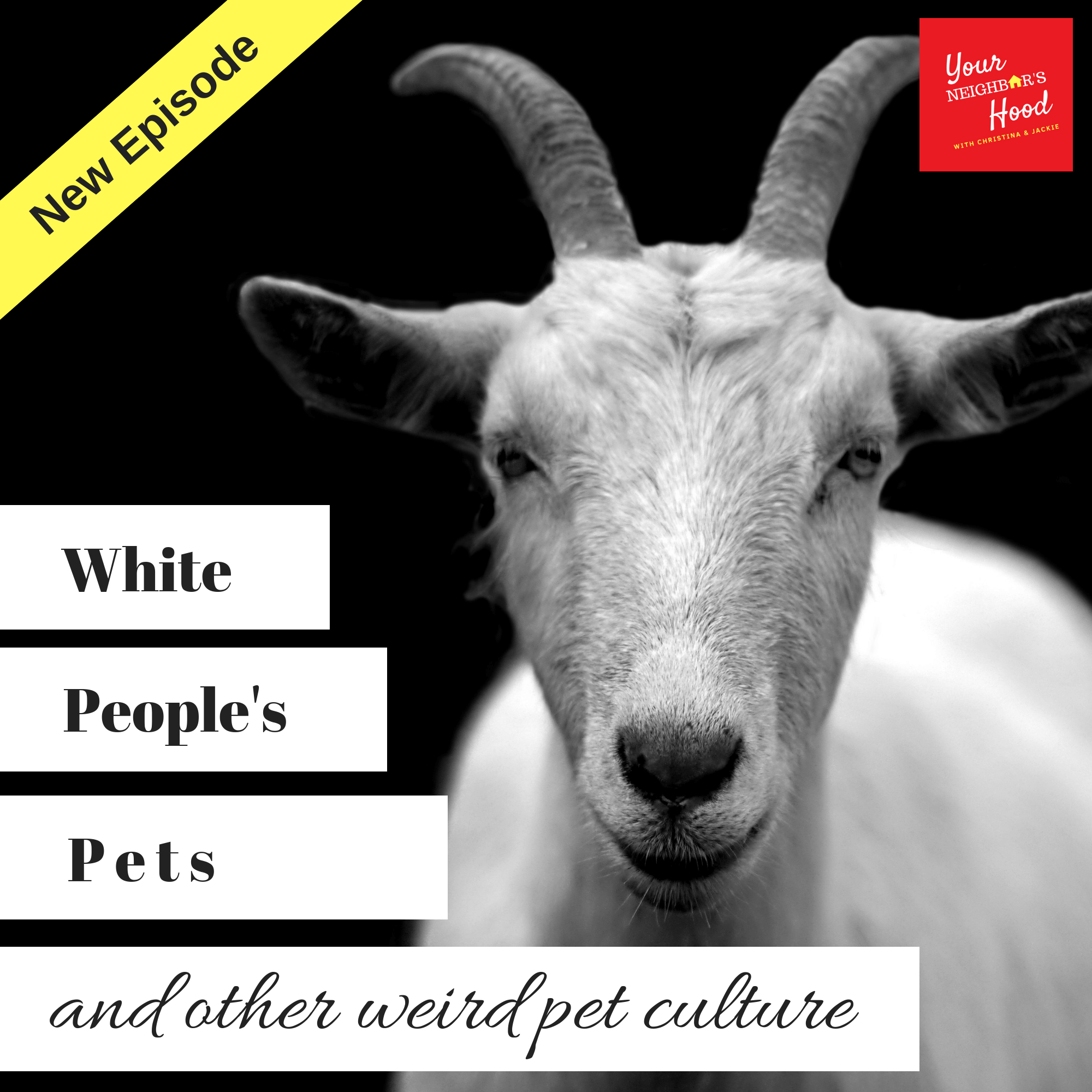 Your Neighbor\'s Hood Podcast