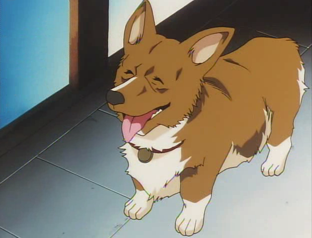 Ep. 10 - Cosmic Sessions: Cowboy Bebop: "Stray Dog Strut"
