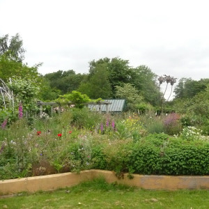 32: Ryton Organic Gardens part 2