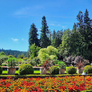 145: Formal designs at the Butchart Gardens