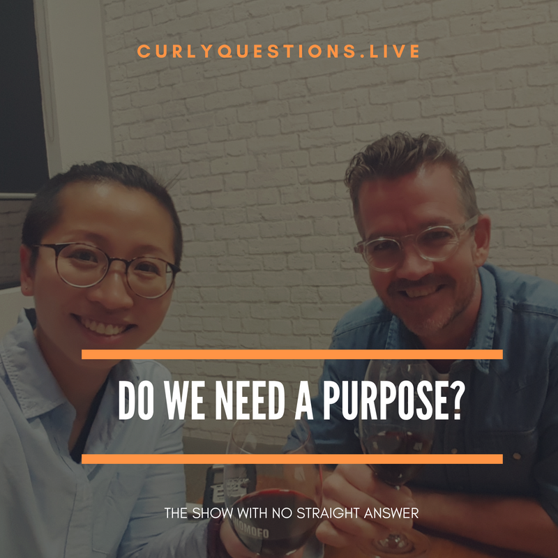 Do we need a purpose?