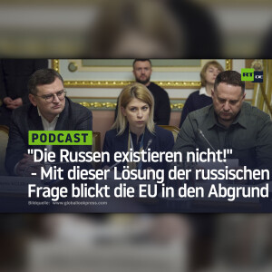 Rechter Mob Feiert Triumph: Die Spd Blickt In Den Abgrund? Brosius Gersdorfs Rücktritt Enthüllt... - ausdlxn