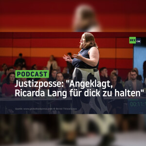 ”Angeklagt, Ricarda Lang für dick zu halten” – Justizposse um den Blogger Hadmut Danisch