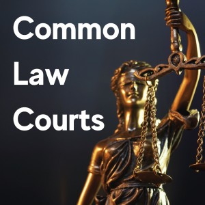 Common Law Courts - Decentralized (Mike Holt and Chris Hall)