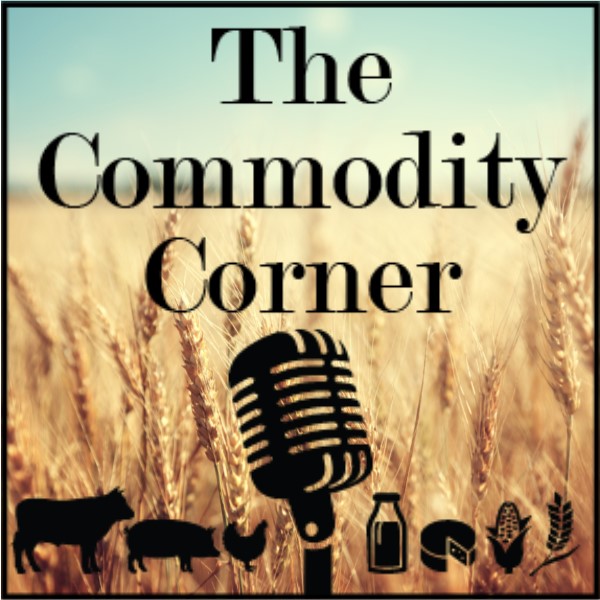 USDA Data Is Back On Schedule USDA Data Is Back On Schedule