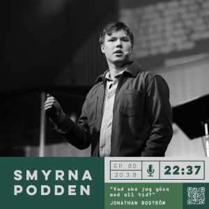 080. Vad ska jag göra med all tid? | Jonathan Boström