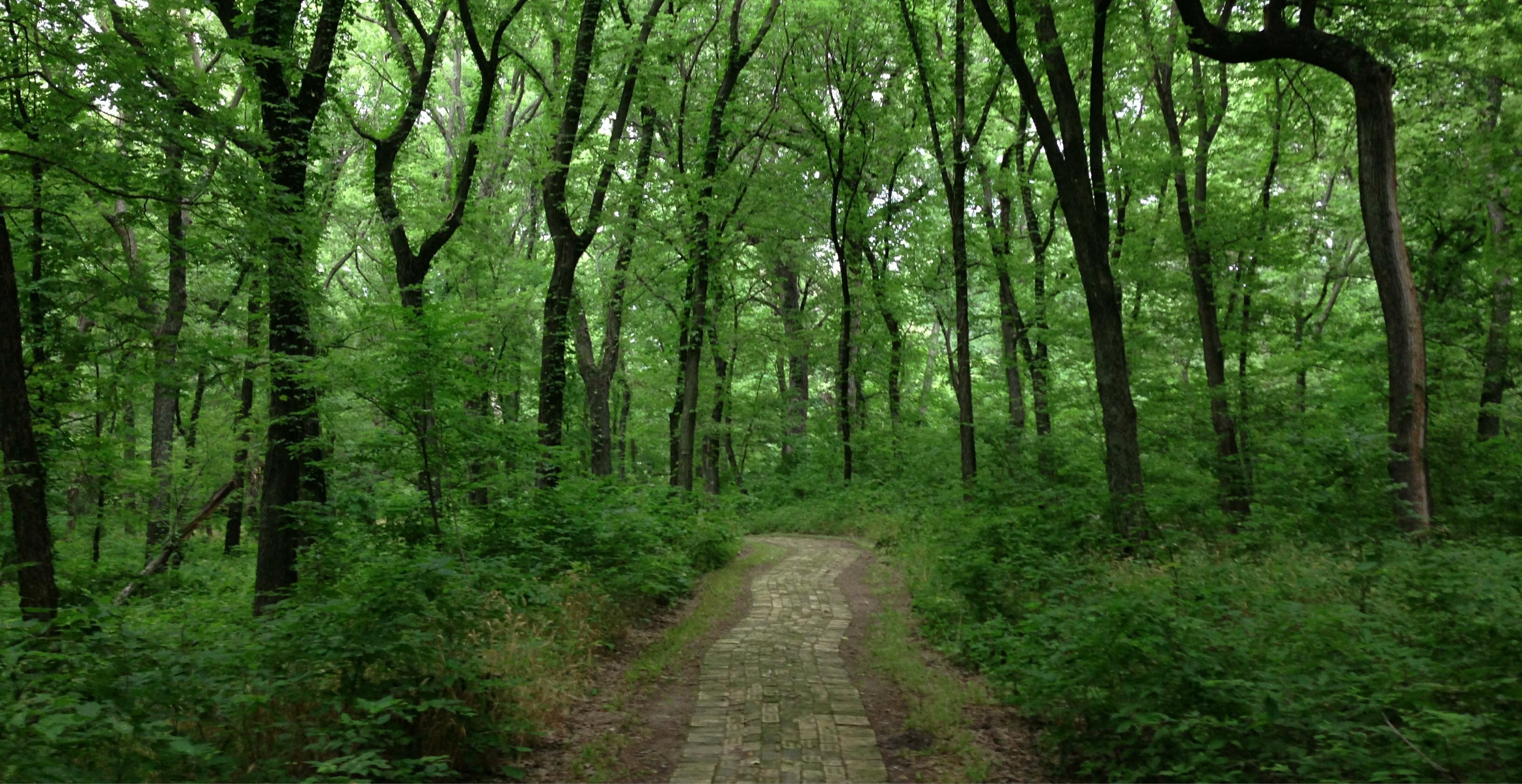GOD’S PLAN FOR PROSPERITY-PART II (Proverbs 28:13-14)
