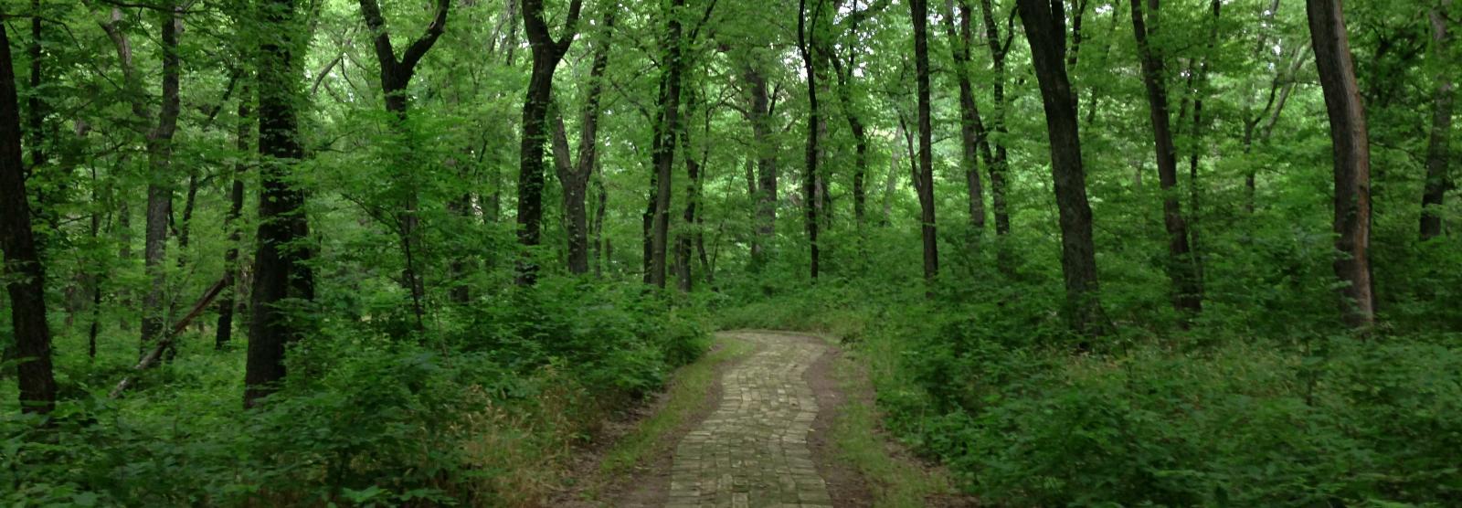 HOW TO WALK WITH GOD (Hebrews 11:5-6)