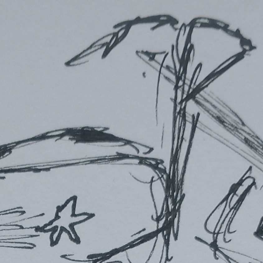 Rough Sketch Podcast