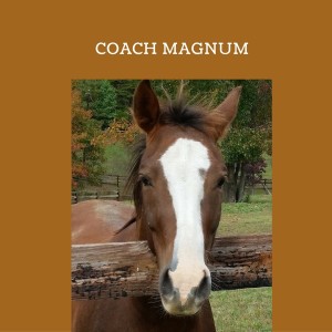 Schelli Whitehouse: Horse Sense from Coach Magnum