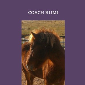 Schelli Whitehouse: Horse Sense from Coach Rumi