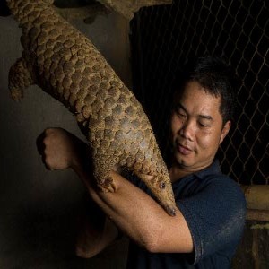 Thai Nguyen of Save Vietnam’s Wildlife