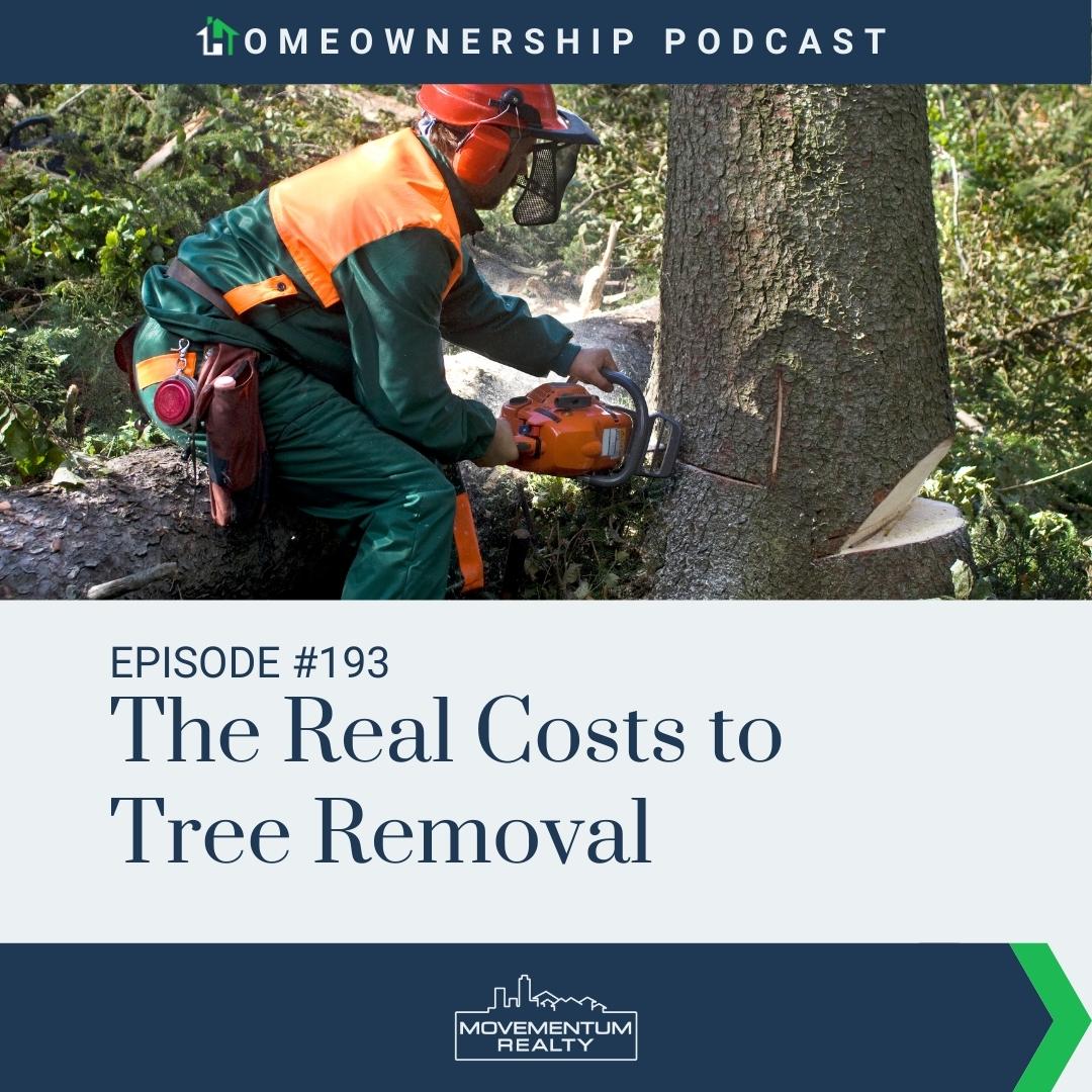 The Real Costs to Tree Removal - EP193 - Homeownership