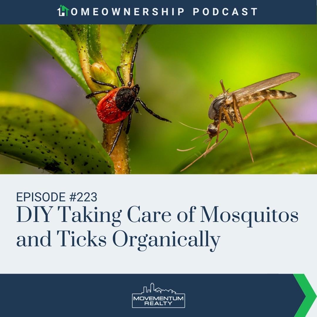 DIY Taking Care of Mosquitos and Ticks Organically - EP223 - Homeownership