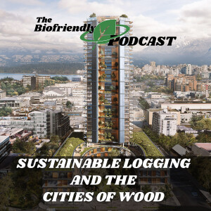 Sustainable Logging and the Cities of Wood